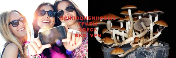 гидропоника Бронницы