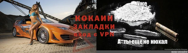 прущие крисы Бородино