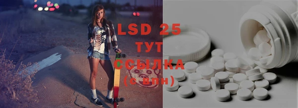 прущие крисы Бородино