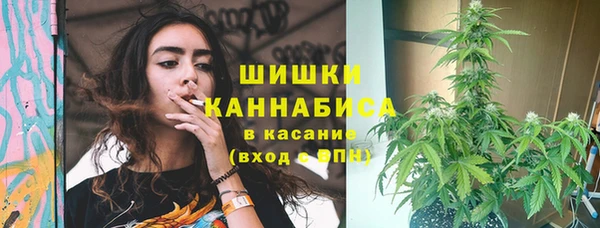 прущие крисы Бородино