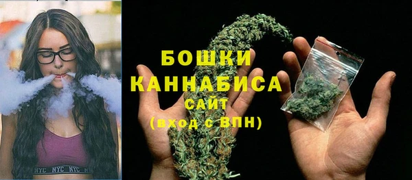 прущие крисы Бородино